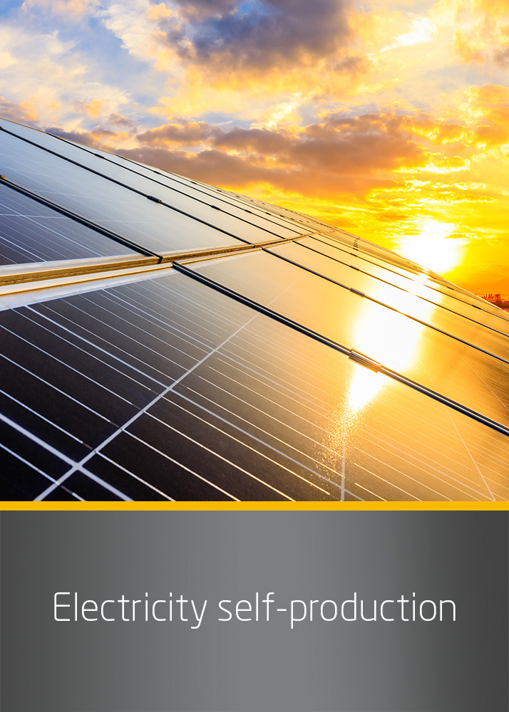 Electricity self-production